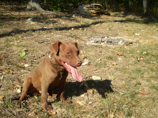 p1010078_640x480.jpg